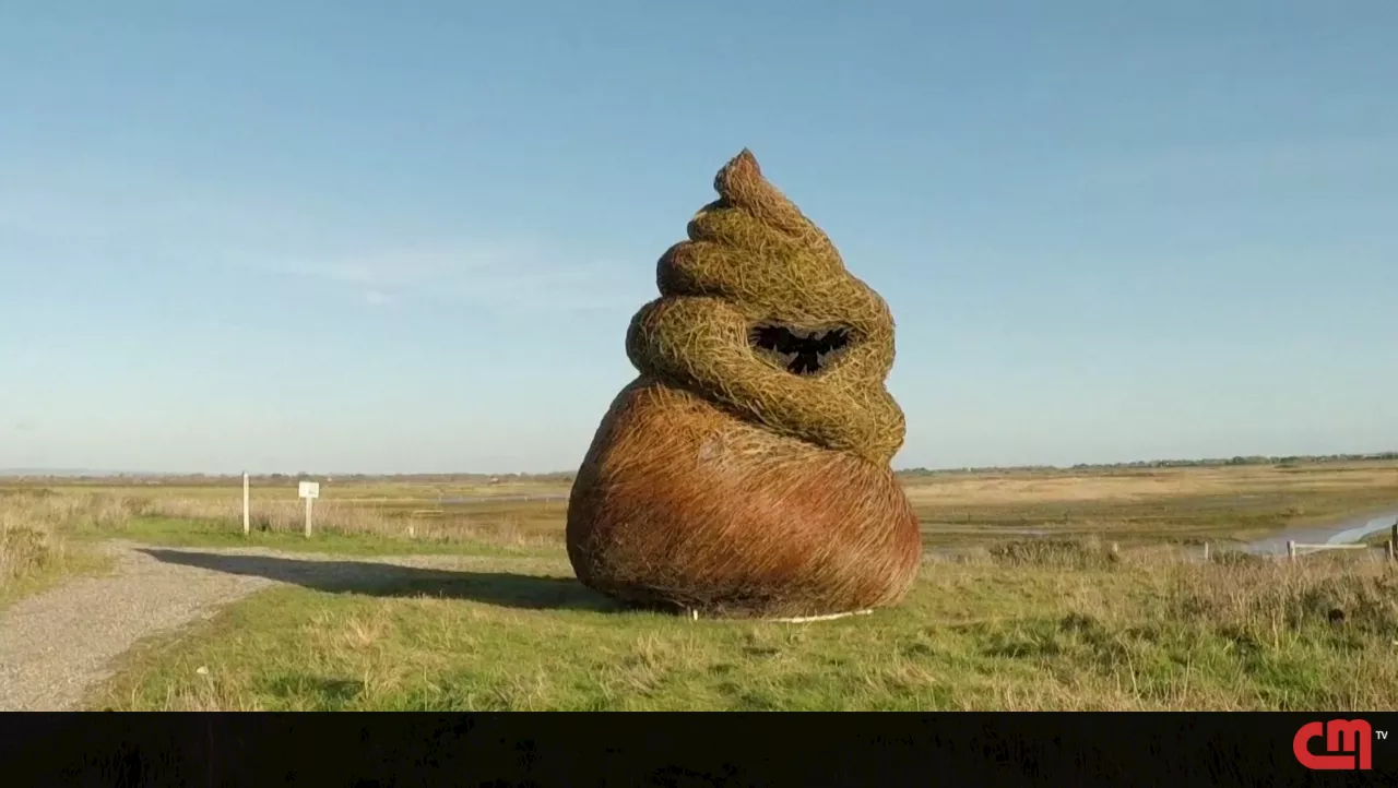 Esta escultura está a gerar polémica e a ser comparada ao emoji do ‘cócó'