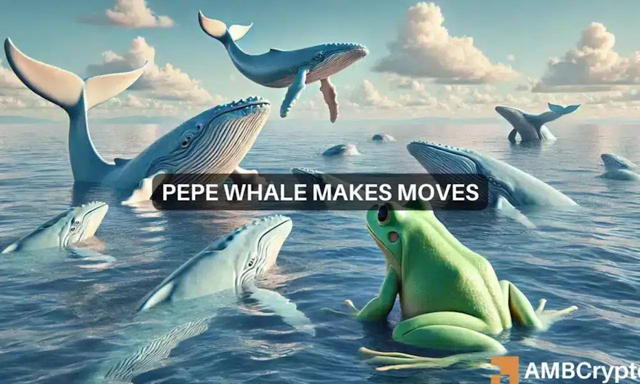 Pepe Whale Transfer to Binance Signals Sell-off Pressure