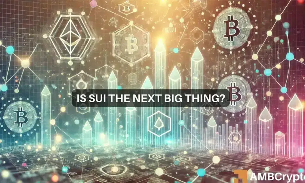 Sui Network's Expansion and the Driving Force Behind Its Success