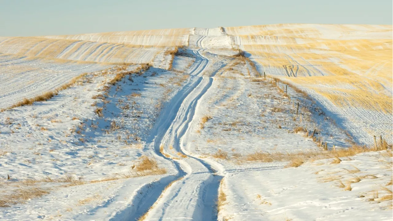 Rural Albertans with disabilities positioned to benefit from accessibility legislation, NDP says