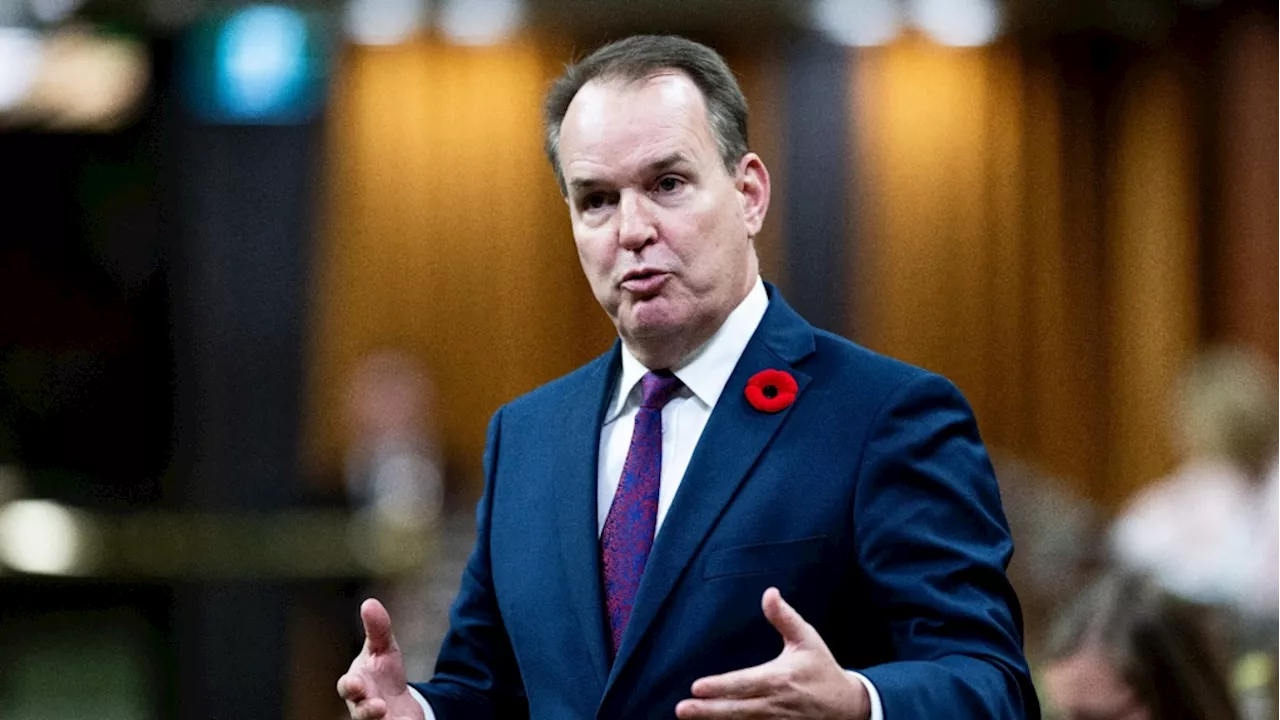 Some Liberal MPs echo NDP call to expand $250 rebate, minister touts seniors benefits