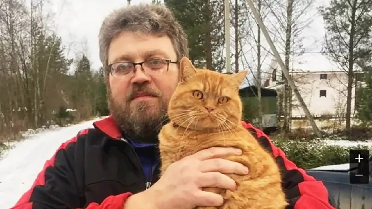 Diabetic Man Dies from Cat's Severe Scratches in Russia