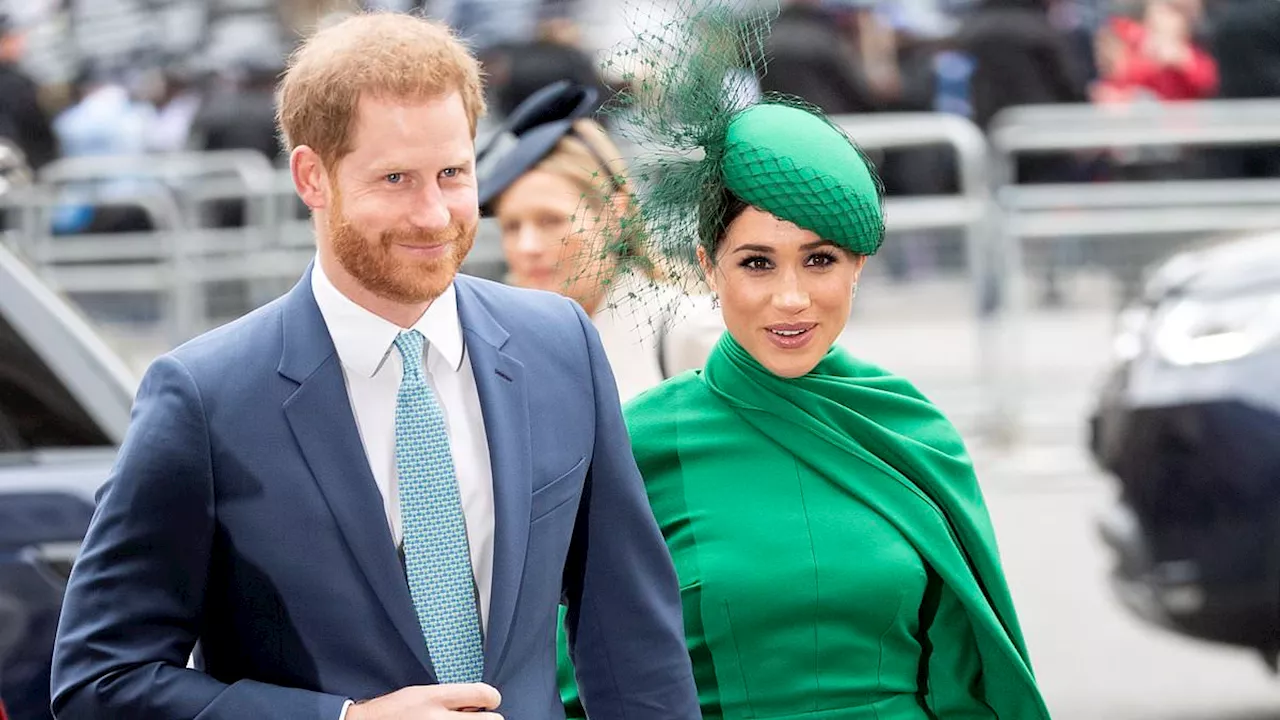 German Documentary Unveils Shocker Insights on Prince Harry and Meghan Markle