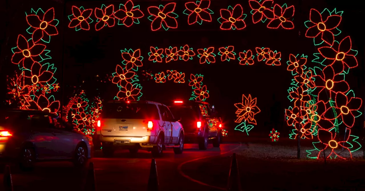 Christmas lights and exhibits in Dallas and across North Texas (2024)