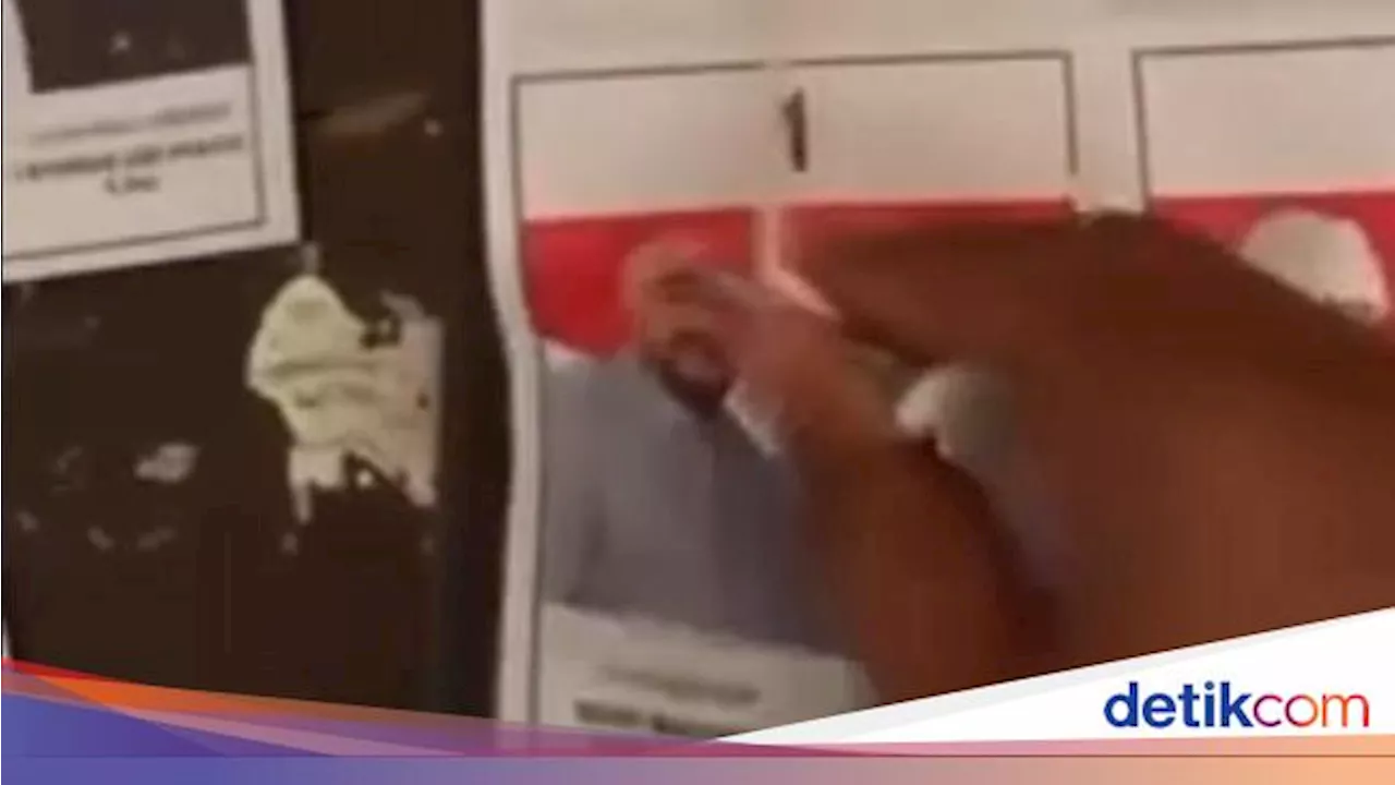 Viral Pria Bertato Coblos Banyak Surat Suara Gambar Mulia-PAS, Bawaslu Telusuri