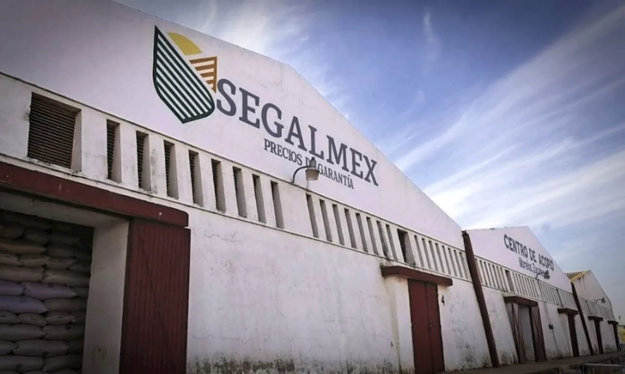 Revocan prisión preventiva a Murillo Landeros por caso Segalmex; juez le impone nuevas restricciones