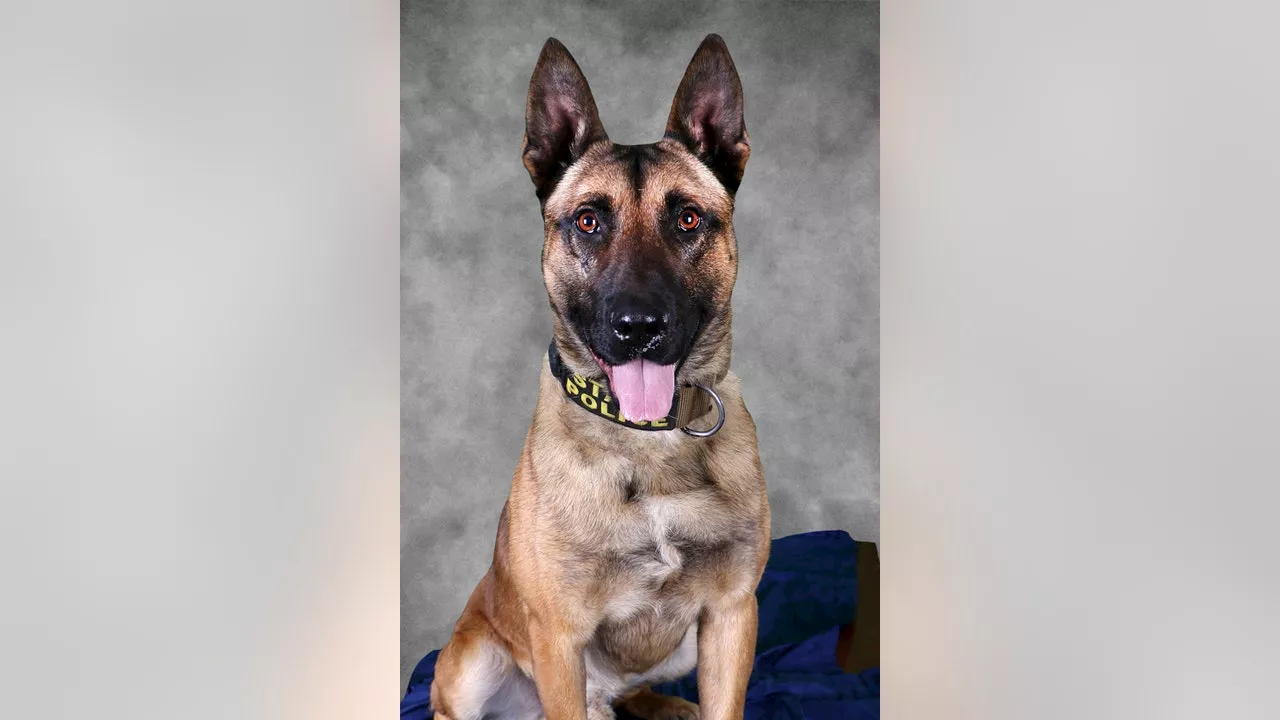 Indiana man arrested after fighting trooper, K9 during traffic stop: state police