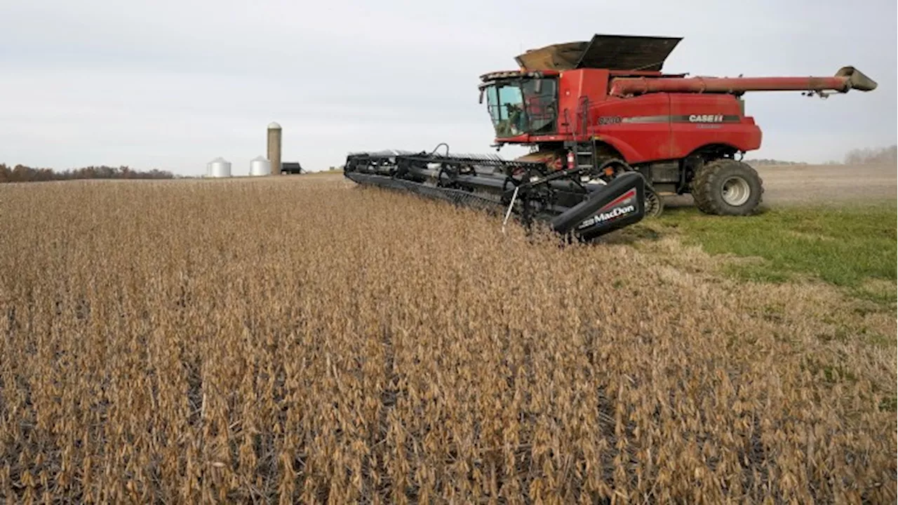 US farmers protest against climate law loophole subverting green fuel crops