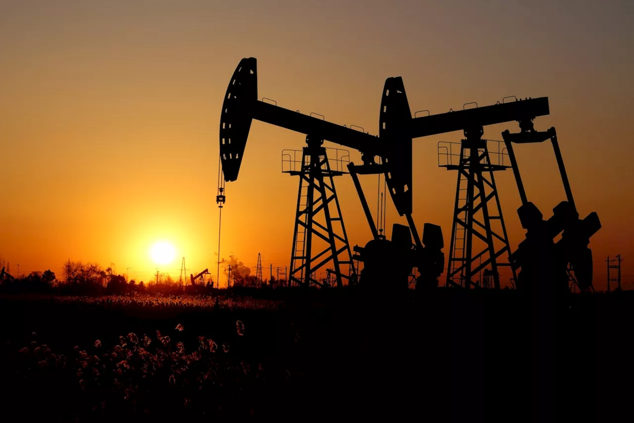 Oil holds steady as markets focus on Israel-Hezbollah ceasefire, OPEC+ meeting