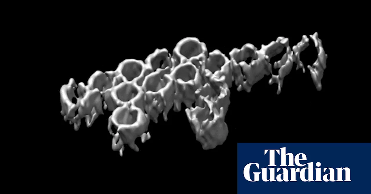 Australian Researchers Build Nano-Scale Objects with DNA