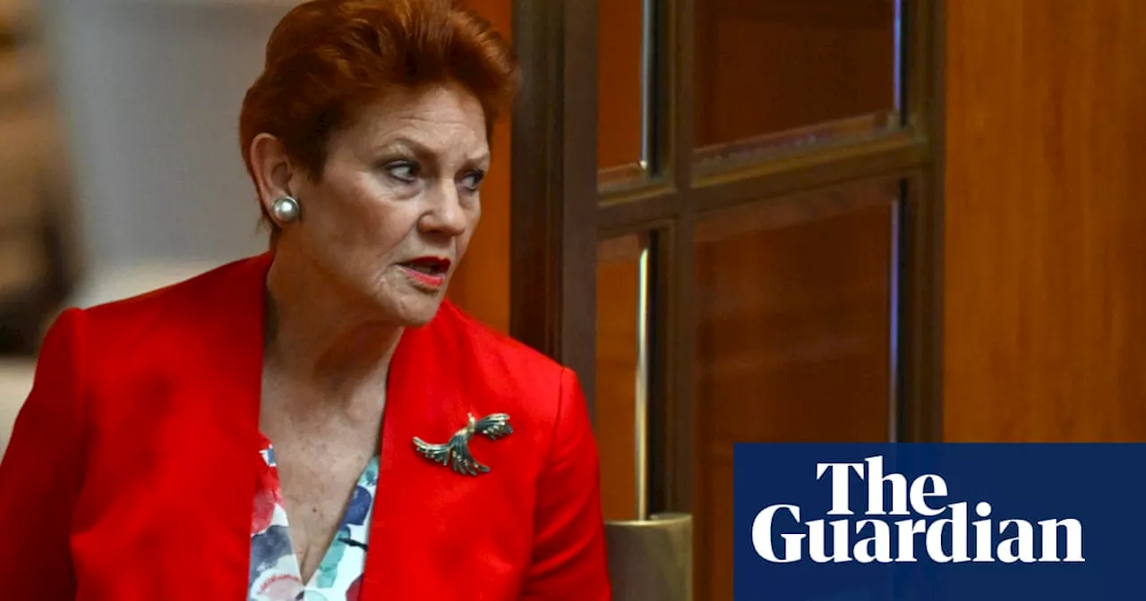 Pauline Hanson appeals court ruling she racially vilified Mehreen Faruqi