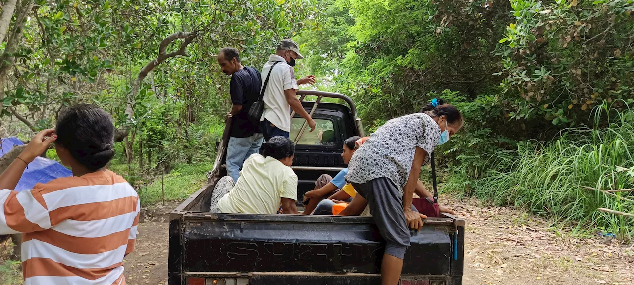 Sekitar 600 Penyintas Erupsi Lewotobi Batal Memilih, Setara dengan Satu TPS