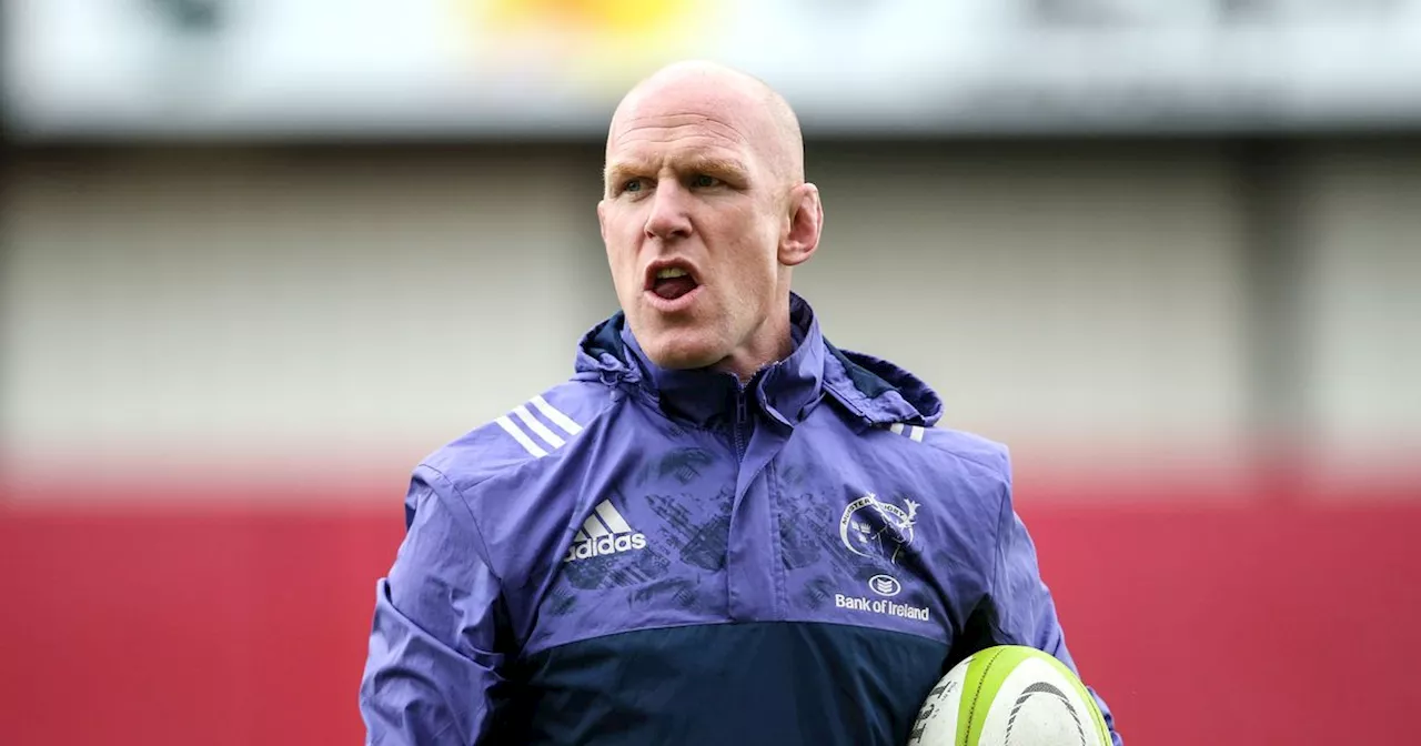 Paul O'Connell rules himself out of Munster Head Coach role