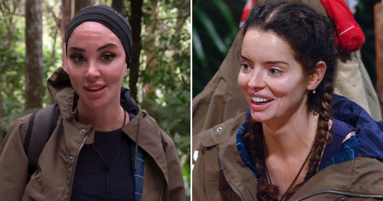 Tulisa Calls Maura Higgins a 'Little Cow' Before Bushtucker Trial on I'm A Celebrity