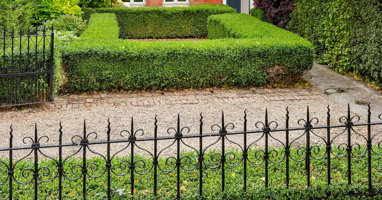 Charming Edwardian Home with Period Details and Planning Permission for Sale in Dublin