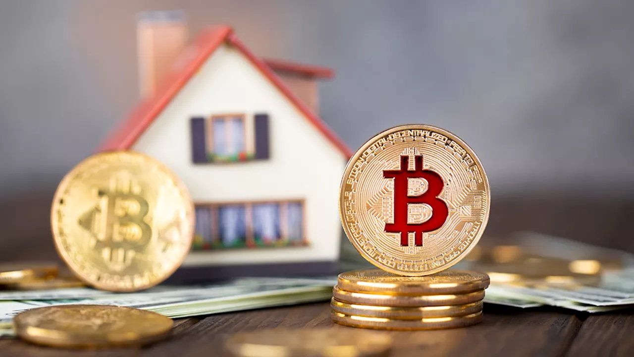 South Africans keen to use crypto to buy property