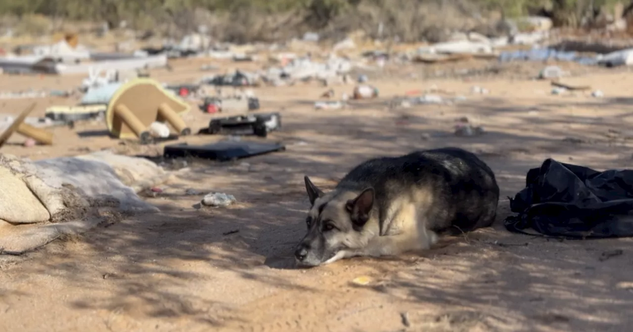 Eyes in the Sky: Drones find illegal dumping in Three Points