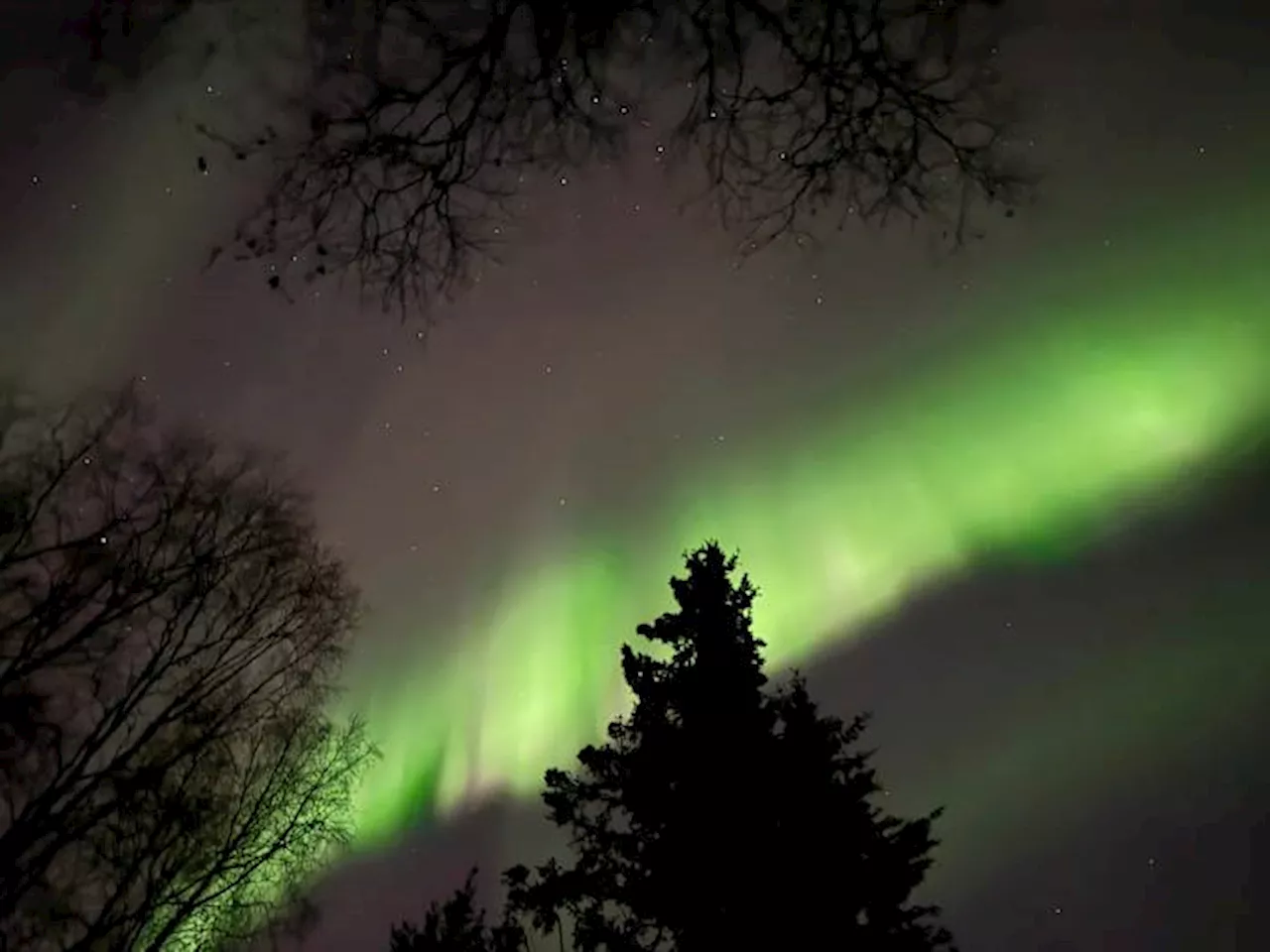 Northern lights may be faintly visible across parts of the US this Thanksgiving