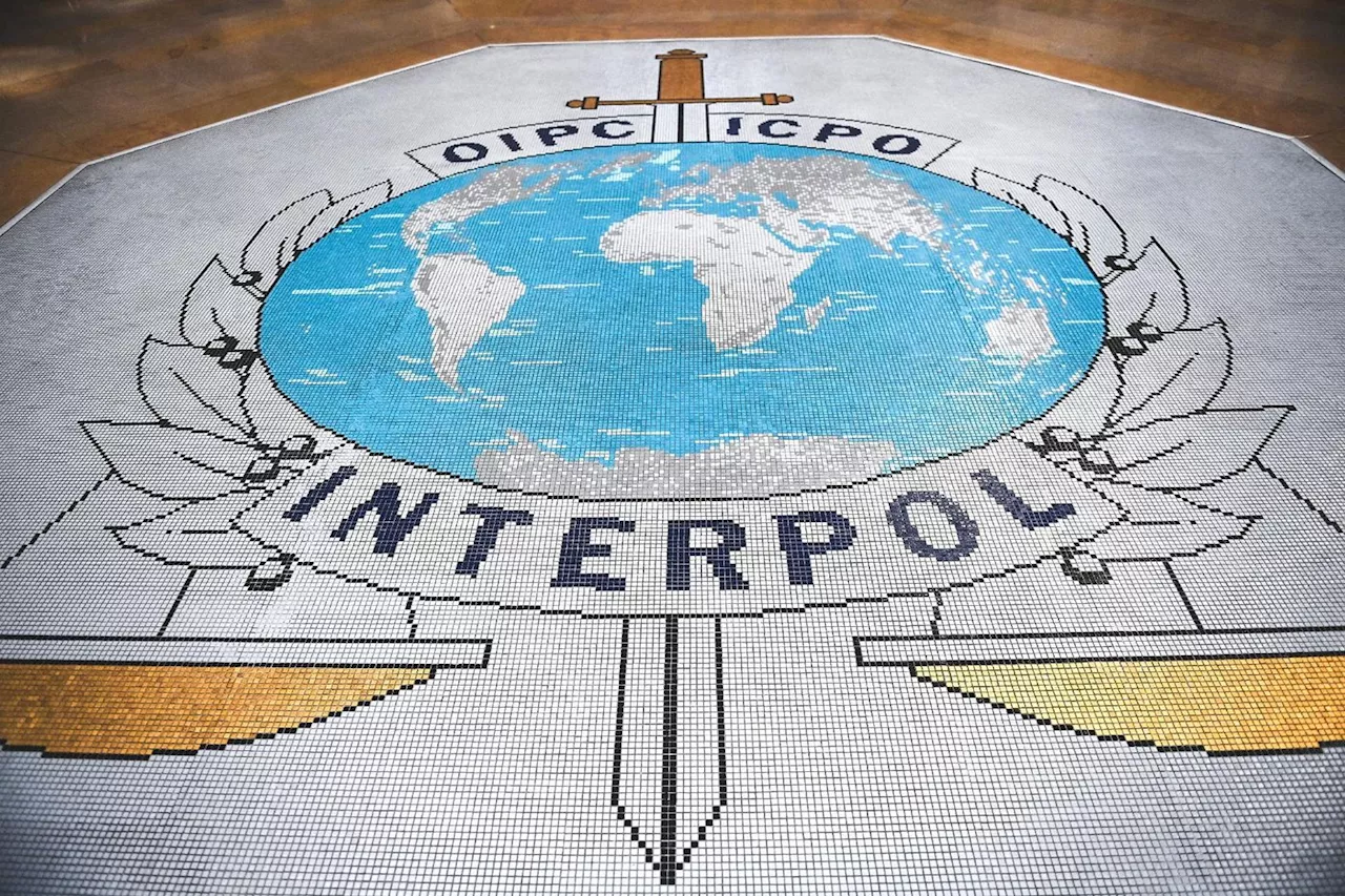 Interpol bat des records avec l'opération HAECHI V contre la cybercriminalité en 2024