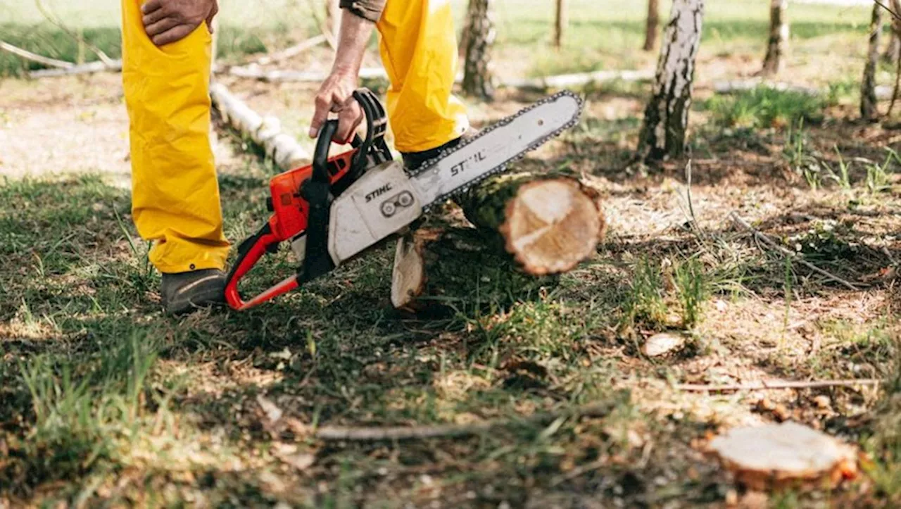 Husqvarna : Amazon revient en force avec la tronçonneuse préférée des jardiniers en promo