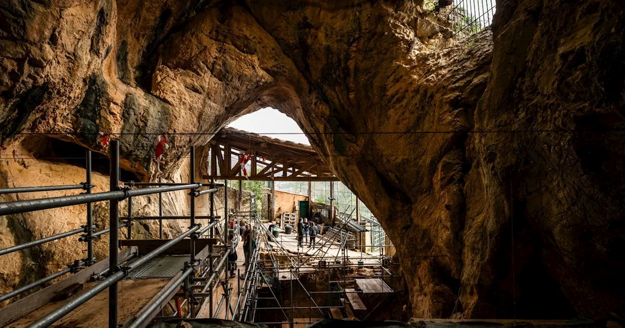 Histoire de l’humanité : du fond de la grotte de Tautavel, 700 millénaires nous contemplent