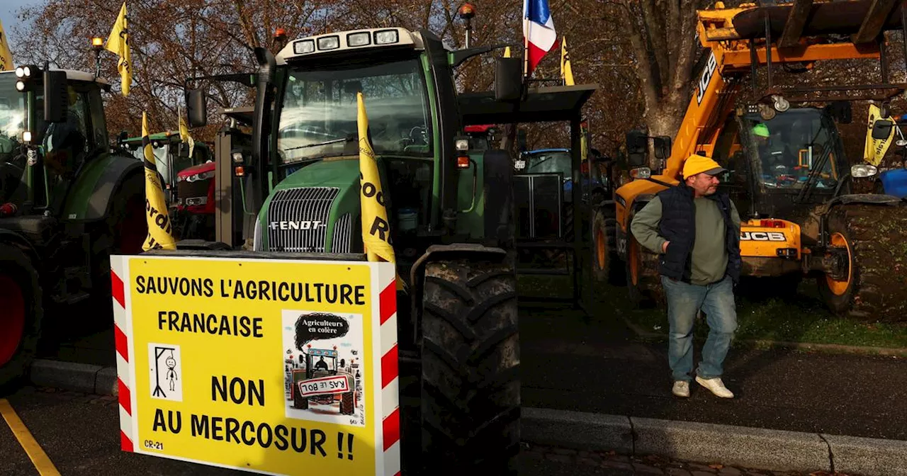 Les Jeunes Agriculteurs de l'Aude bloquent le port de Port-la-Nouvelle