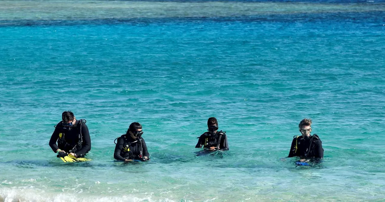 Naufrage en Égypte : «La mer Rouge est le supermarché des croisières de plongée»