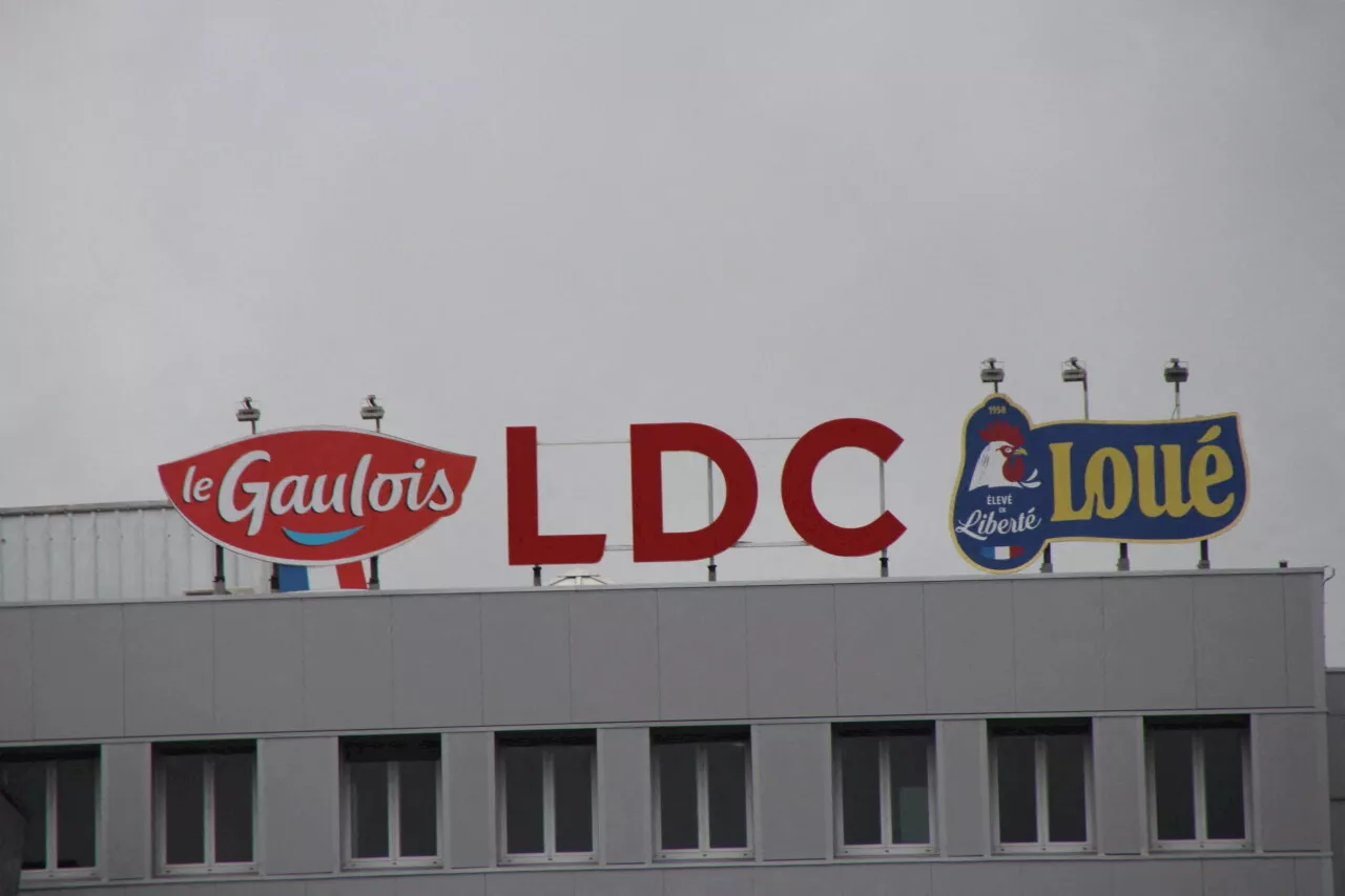 Le groupe volailler LDC, basé à Sablé-sur-Sarthe, intensifie sa politique de rachats de sociétés