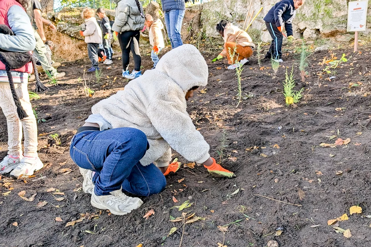 Les écoliers prennent leur pelle et plantent 400 arbres dans les parcs de Marseille