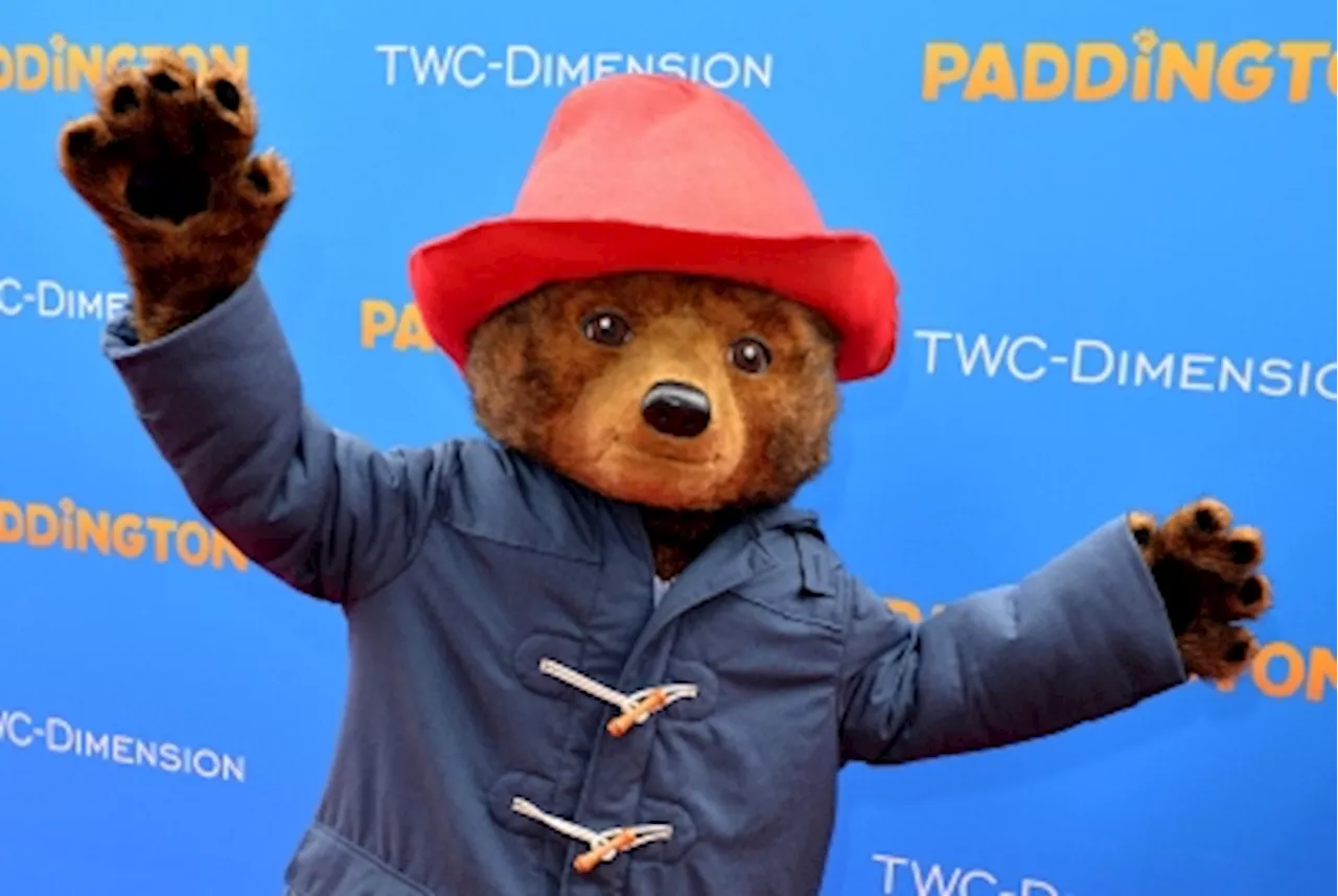 Paddington bear’s journey from children’s books to royal-endorsed billion-pound franchise