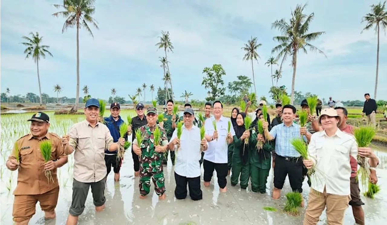 Kementan Lakukan Tanam Padi Bersama Brigade Pangan di Sumatera Utara untuk Percepat Swasembada Pangan