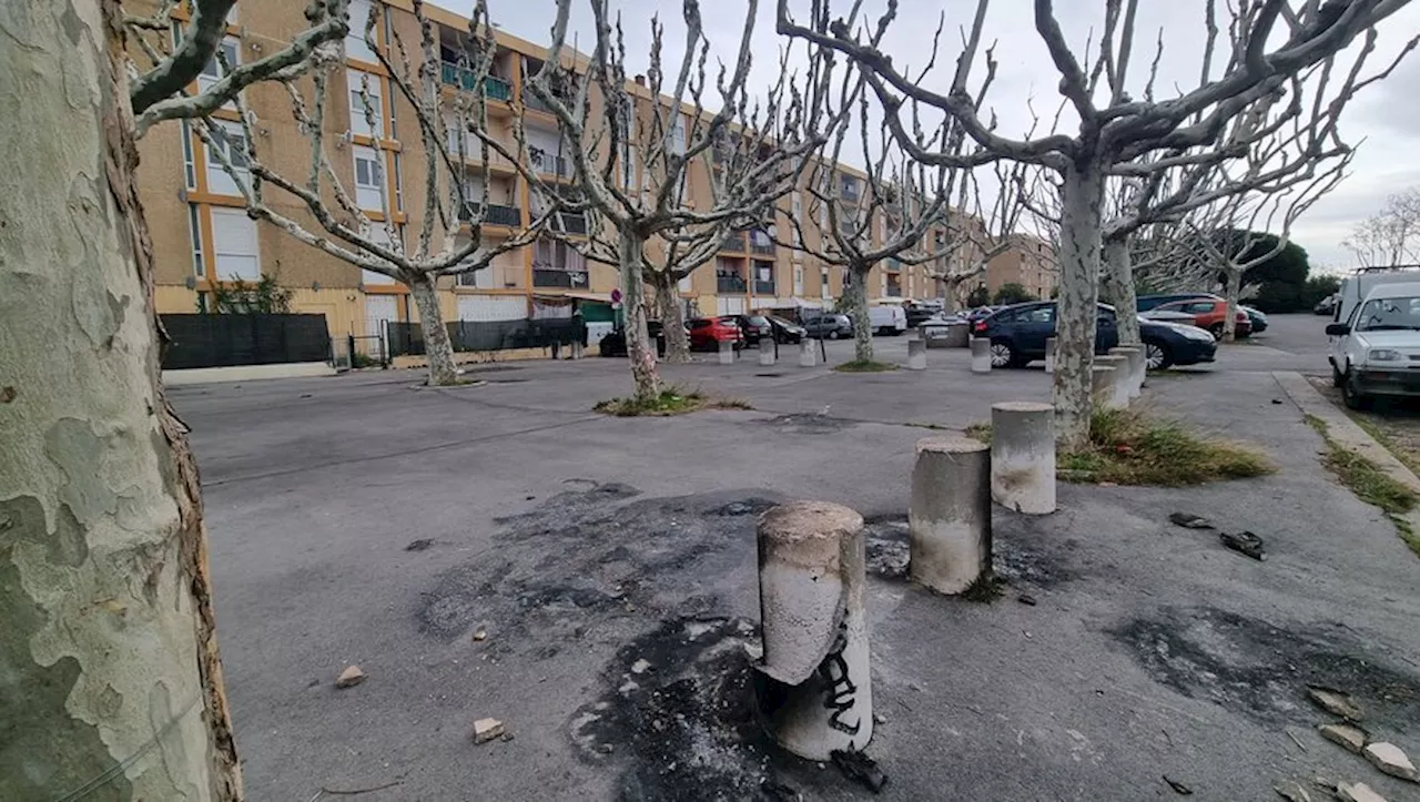 Nouveaux coups de feu à l’île de Thau à Sète : la circulation des bus interrompue