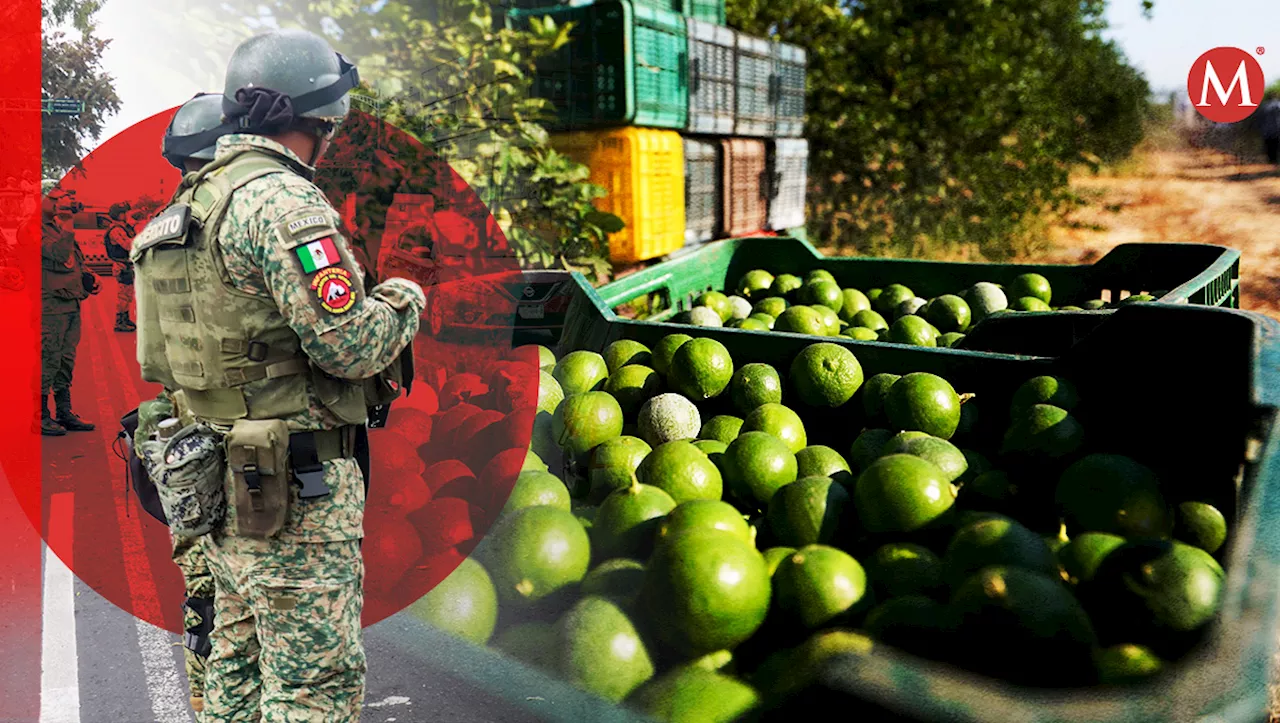 Guardia Nacional Implementa Plan de 100 Días para Proteger Productores de Limón en Michoacán