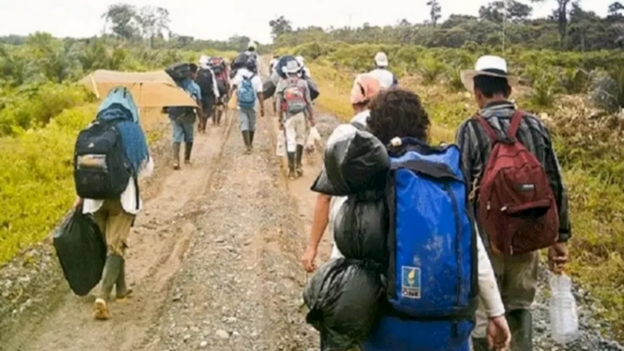 Al menos 400 personas desplazadas por enfrentamientos entre grupos armados en Anorí, Antioquia