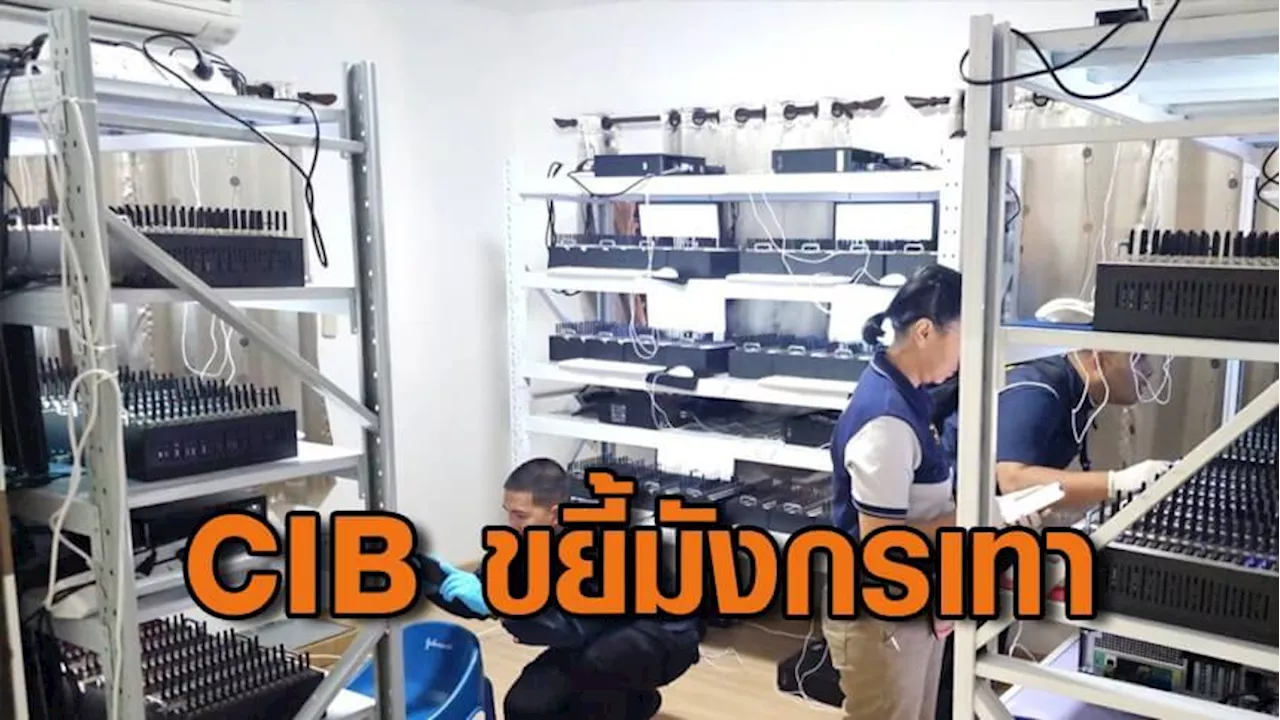 “CIB ขยี้มังกรเทา” รวบสาวไทยร่วมแก๊งจีนเทาเช่าบ้านตั้ง SIM box 642 เครื่อง