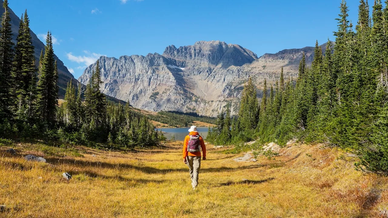 Discover the planet’s last few ‘naturally quiet’ places