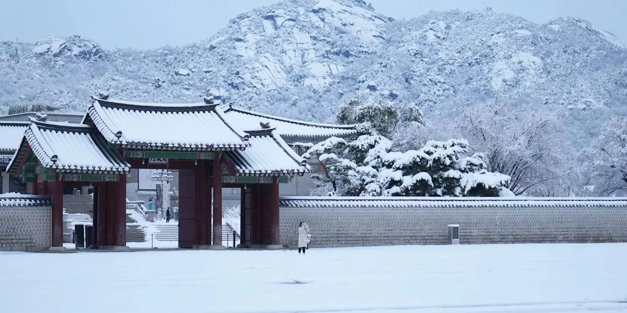 Südkorea erlebt den größten November-Schneefall seit über 100 Jahren