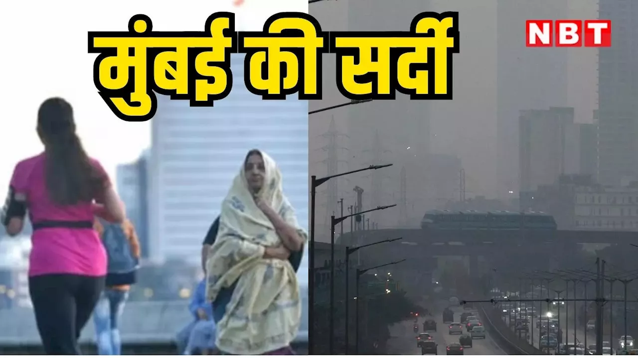 Mumbai Cold Weather: मुंबईकरों को सताने लगी सर्दी, 16.9 डिग्री सेल्सियस तक लुढ़का पारा, 8 साल में सबसे ठंडा नवंबर