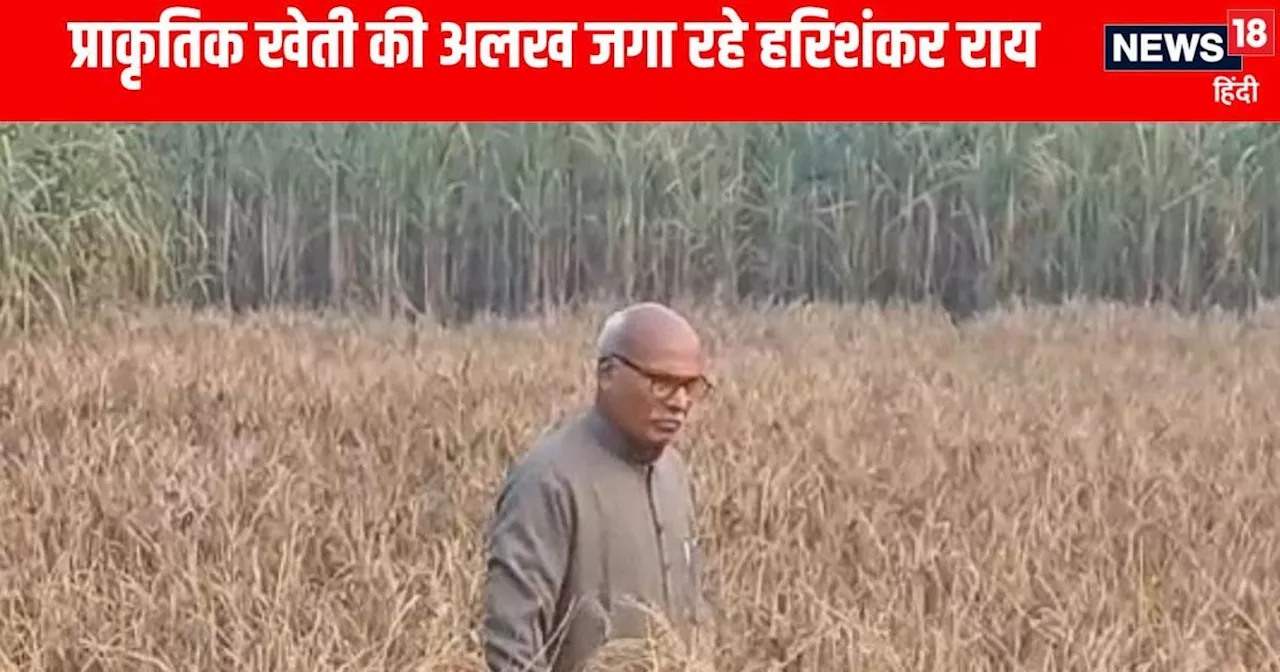 Kushinagar News: शून्य लागत में करते हैं खेती, फसल से हो रही बंपर कमाई, यूपी के इस किसान ने बताया राज