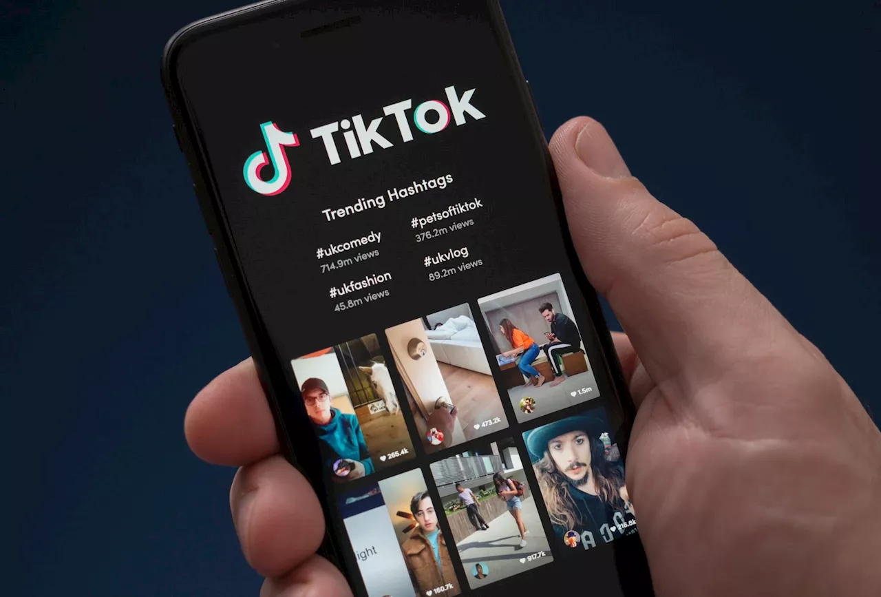 TikTok approved misinformation ads targetting Irish General Election