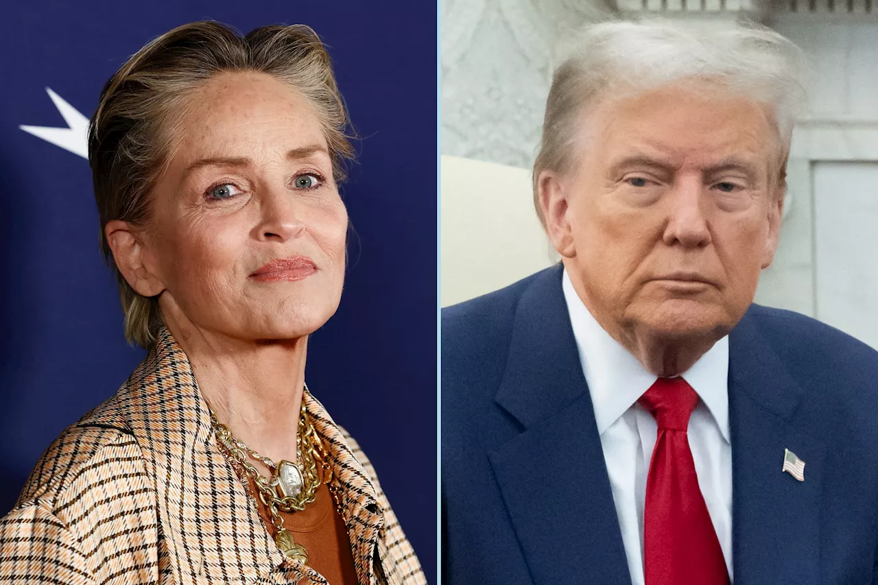 Sharon Stone Rails Against 'Uneducated' Men Over Trump Victory