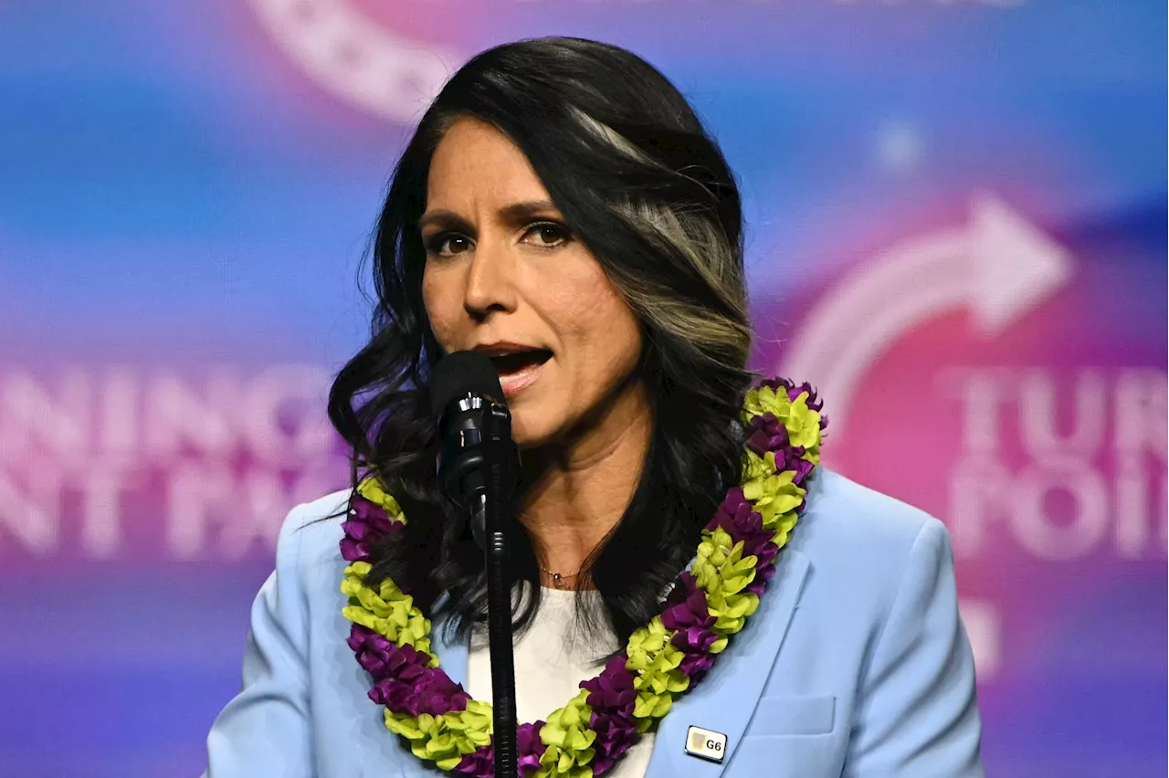 Tulsi Gabbard's Chances of Getting Confirmed, Betting Odds Show