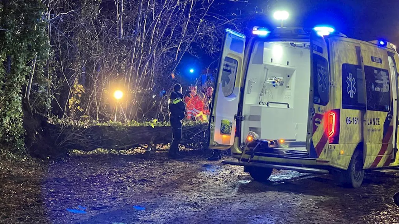 Fietser omgekomen door omvallende boom tijdens storm Conall