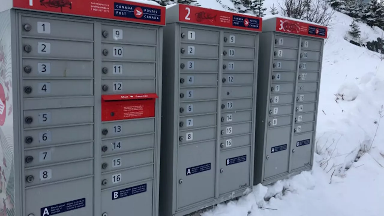 Government Continues to Offer Services Amid Postal Disruptions