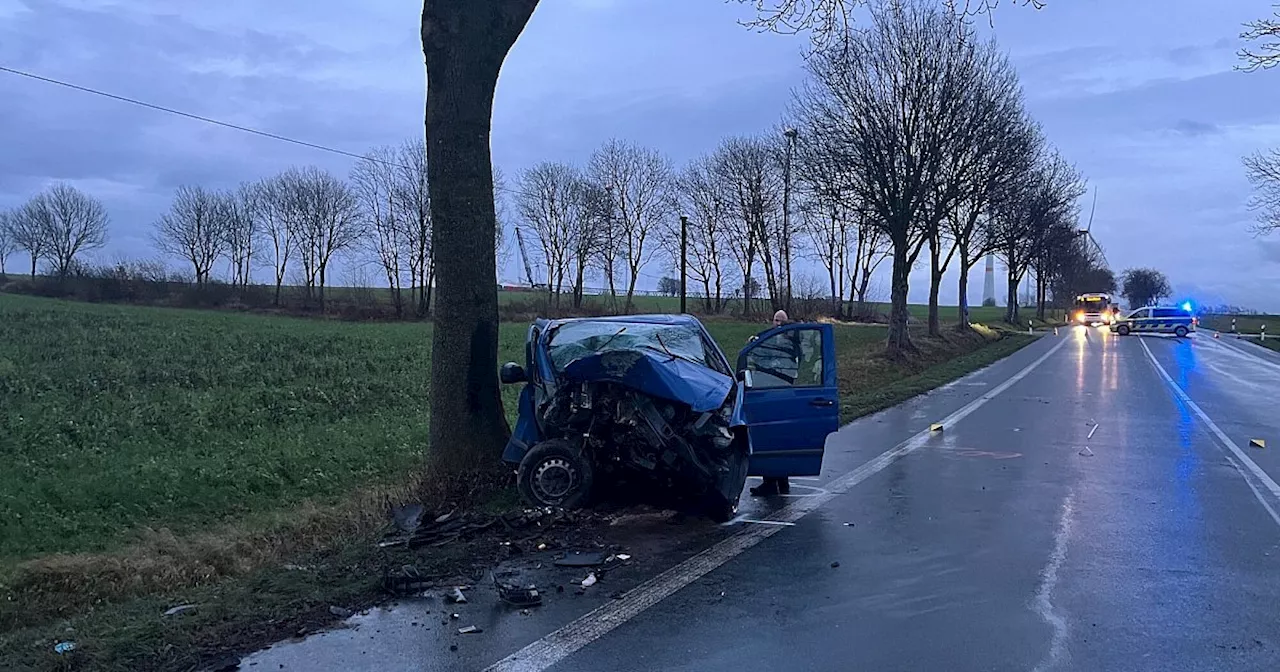 B68 bei Borchen: Auto prallt frontal gegen Baum