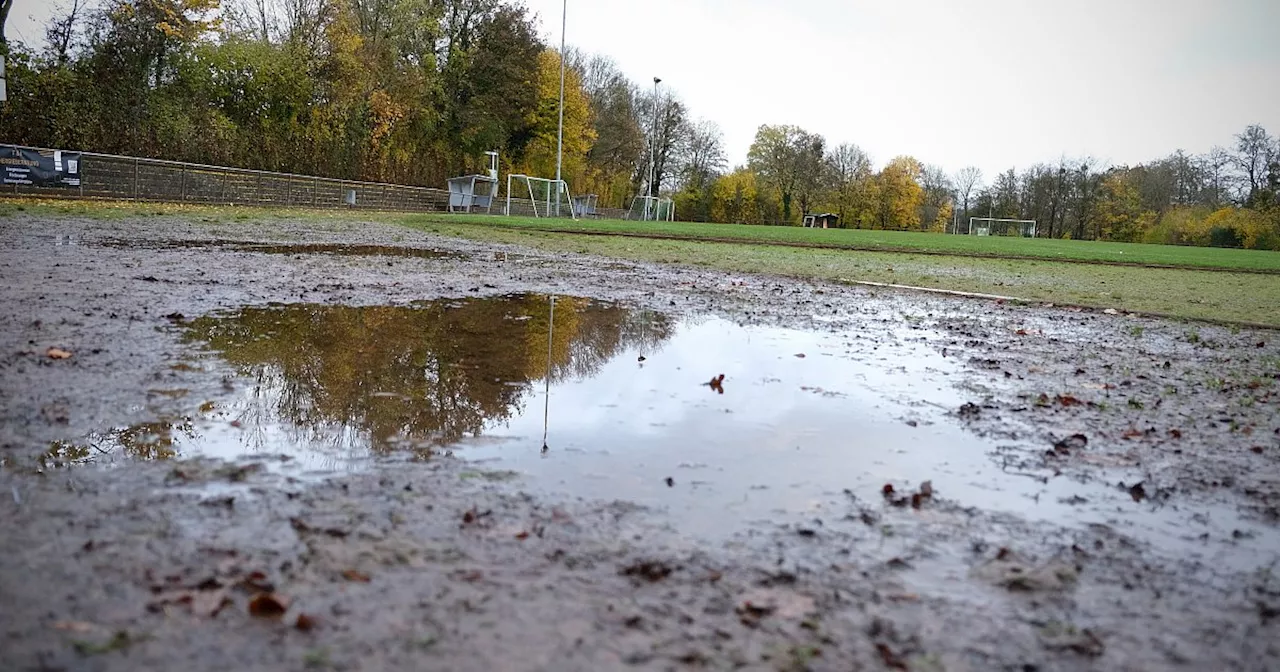 Streitpunkt Stadionpflege: Pläne vom FC Löhne-Gohfeld stoßen auf geteiltes Echo