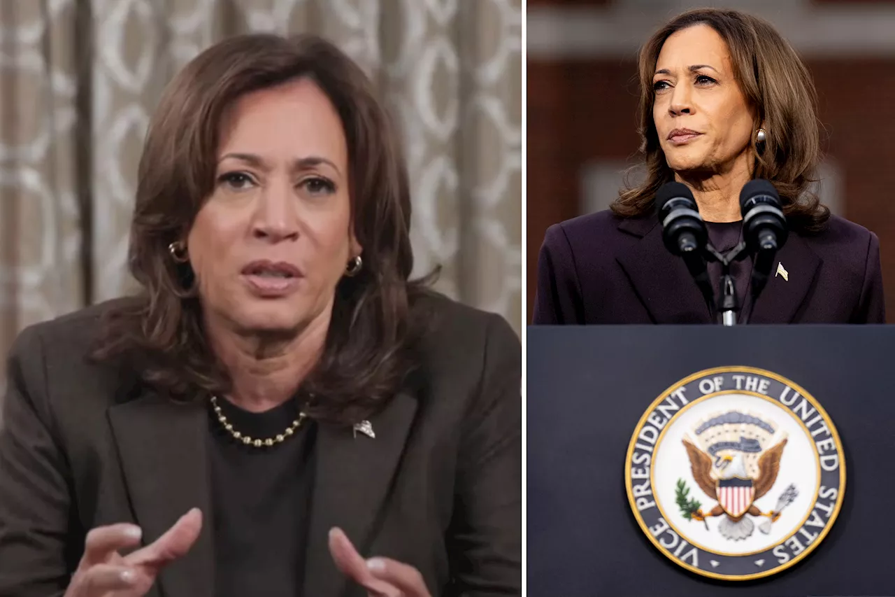 Kamala Harris consoles supporters in widely mocked remarks following post-election loss vacation: 'Perfectly on-brand' 