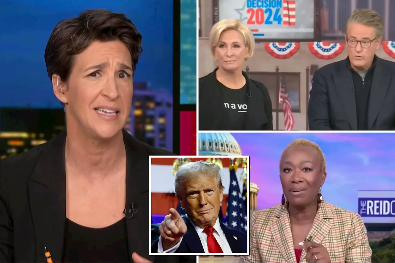 MSNBC sees total audience nearly halved post-Election Day, Rachel Maddow loses over 40% of viewers: ratings report