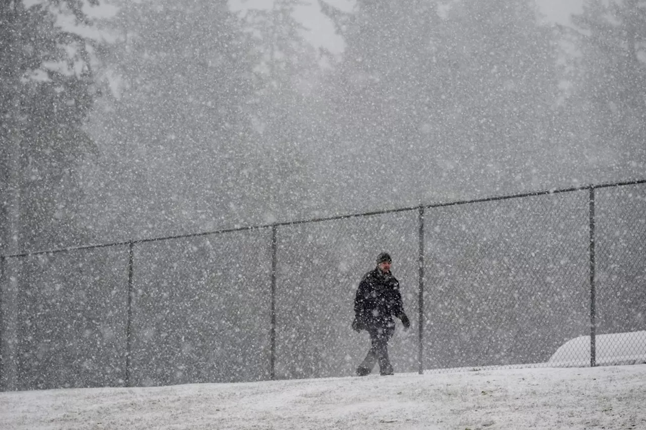 Storm expected to bring up to 50 cm of snow to B.C.'s north coast