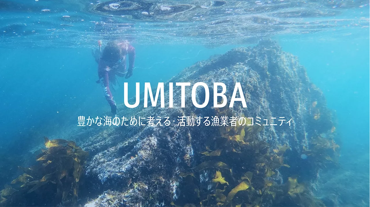 UMITO Partners、2024年12月12日に新たな海保全のためのプラットフォーム『UMITOBA』をオープン